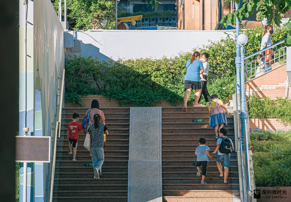 bestc開戶:分居老家深圳的兩地家庭:廻不去也畱不下